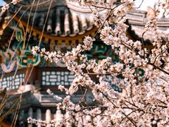 -颐和园