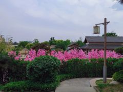 -郑州银基黄帝宫御温泉