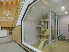 -联合动物医院(光谷诊疗中心)