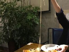 -百好乐宠物友好餐厅(朝外大街店)