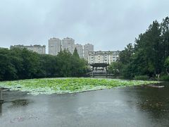-范蠡湖公园