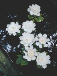-Oasis Beauty水磨坊科技美肤中心