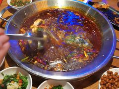 -红牌美蛙鱼头火锅(万辉国际广场店)