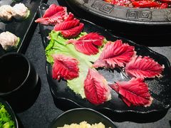 -莽子老火锅(大坪店)