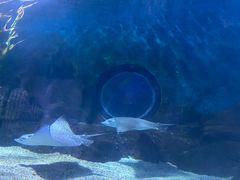 -常州海昌海洋探索馆
