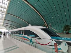 -龙阳路磁悬浮列车总站-停车场