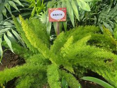 -沈阳植物园