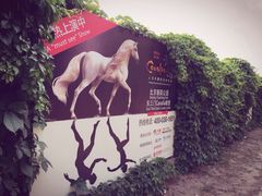 -cavalia·舞马