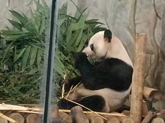 -深圳野生动物园