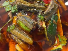 -高坎一品甲鱼庄(两河店)