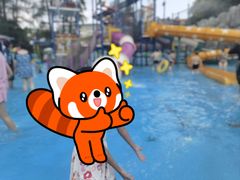 -武汉市青少年宫水上世界
