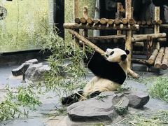 -上海野生动物园