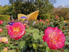 -人民公园(罗湖区)