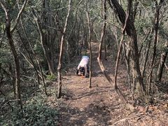 -午潮山国家森林公园