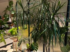 -一尺花园(安和花园店)