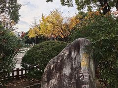 -双拥公园