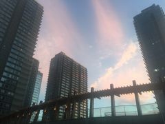 -高·尚领域