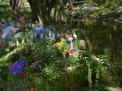 -上海共青森林公园