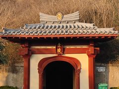 -洛阳古墓博物馆