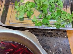 豌豆尖-金鼎雪山牦牛杂火锅(理县总店)