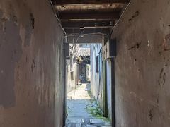 -黎里古镇
