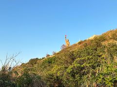 -东极岛景区