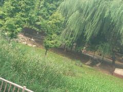 -石家庄市动物园