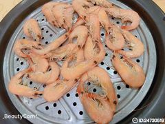 -海岛渔村大酒店(云霄路店)