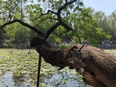 -莲池书院博物馆