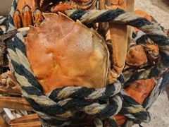 大闸蟹-初色海鲜自助(万丰路店)