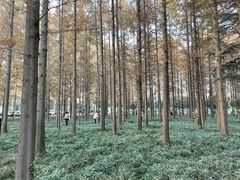 -河南省黄河迎宾馆