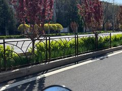 -DQ·蛋糕·冰淇淋(天通苑华联店)