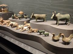 -广西壮族自治区博物馆