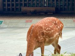 -金沙遗址博物馆