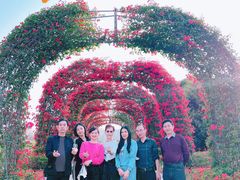 -东莞植物园