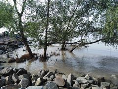 -宝安西湾红树林湿地公园