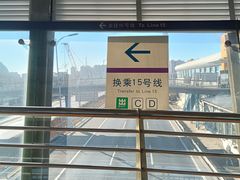 -望京西(地铁站)