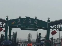 -荷兰花海