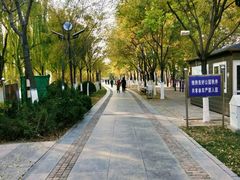 -南翠屏公园
