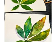 -六出私塾LiuChu•成人美术书法系统课程专业画室(熊婆婆的花园店)