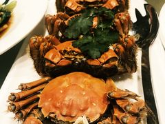 -鞍山大白鲨美食酒店