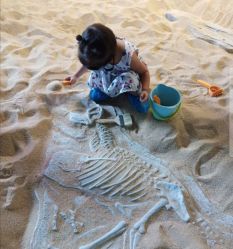 -恐龙探索乐园(磁器口店)