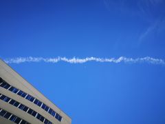 -伟记牛肉(金鸿公路店)