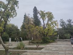 -广富林郊野公园