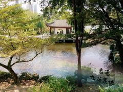 -九龙公园