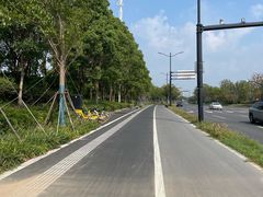 -上海市第六人民医院(临港院区)