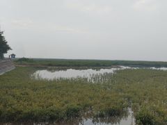 -北海金海湾红树林生态旅游区