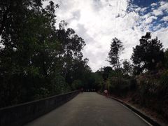 -中山市树木园