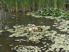 -大连植物园