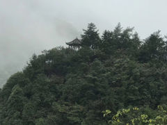 -娄山关景区